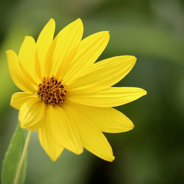 乐天堂体育捕鱼游戏